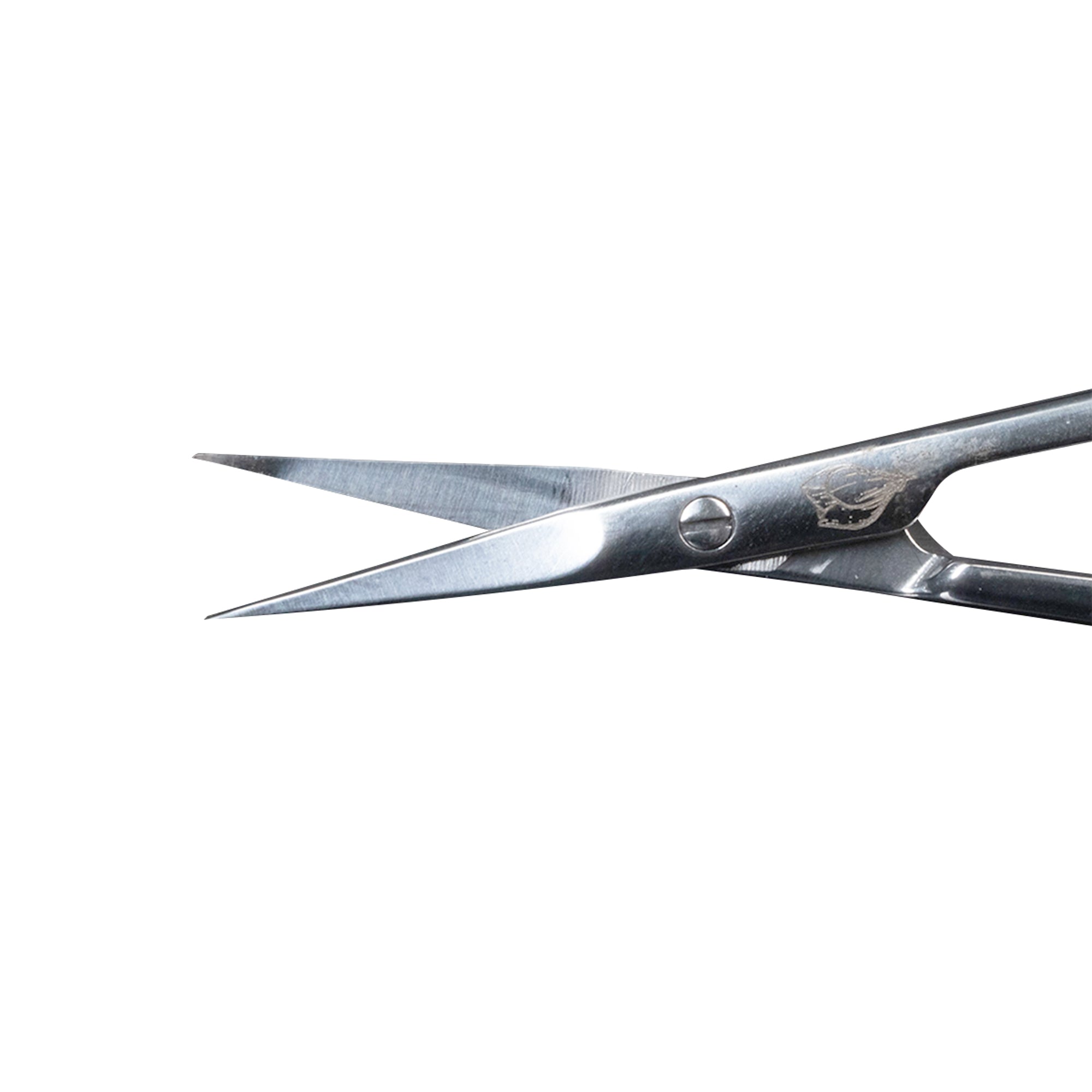Scissors Staleks- Exclusive 21/2