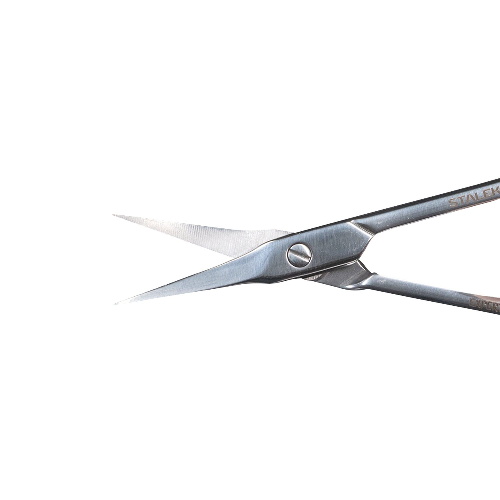 Scissors Staleks- Expert 50/2