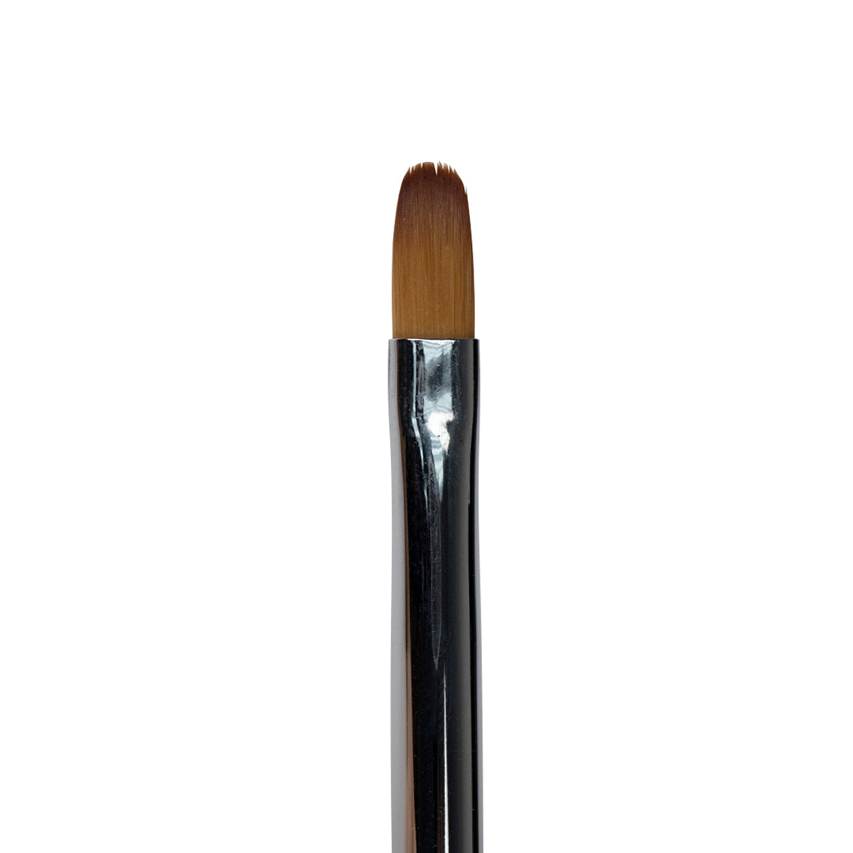 Brush - Cat&