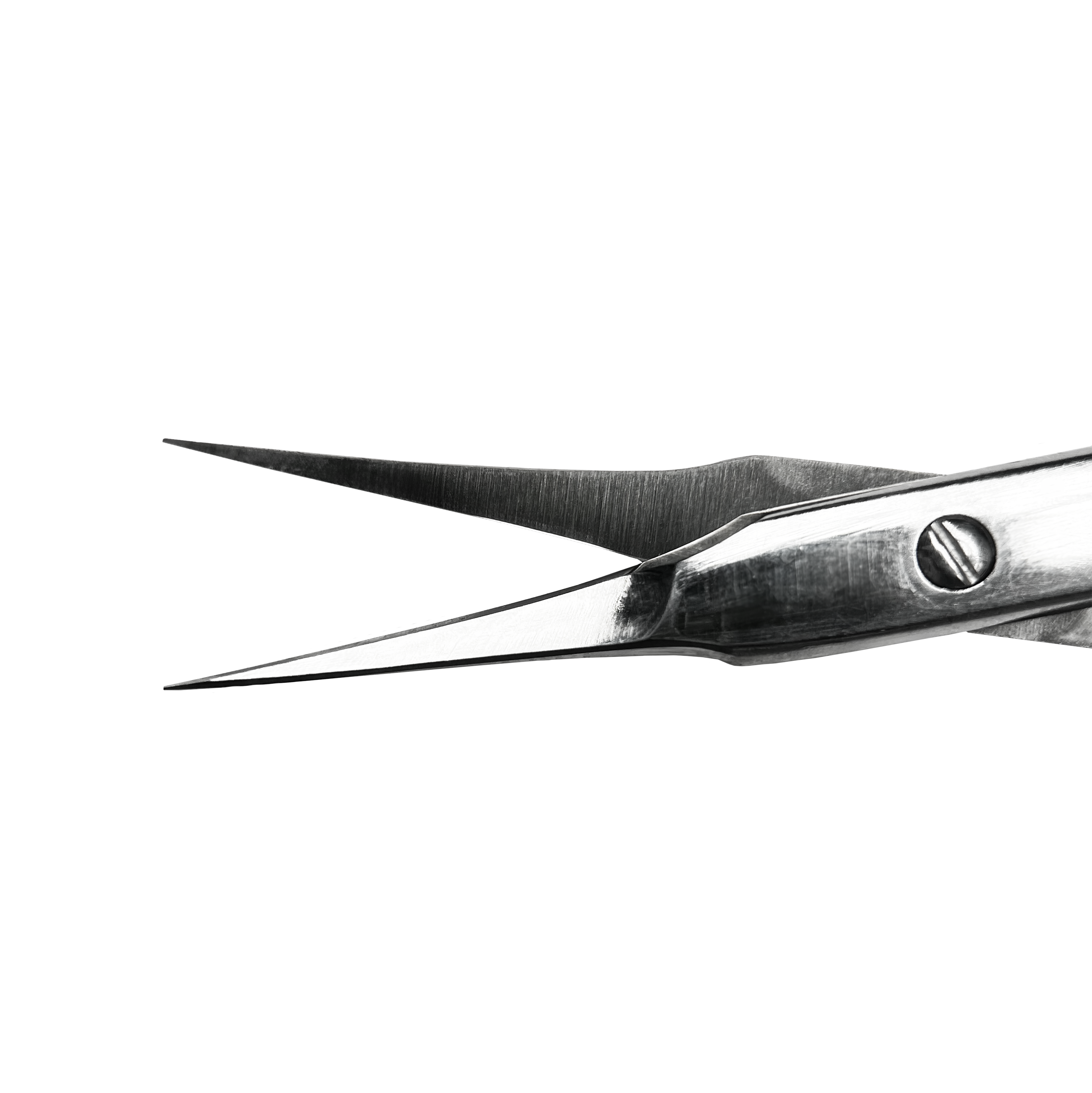 Nolia Scissors - NS05