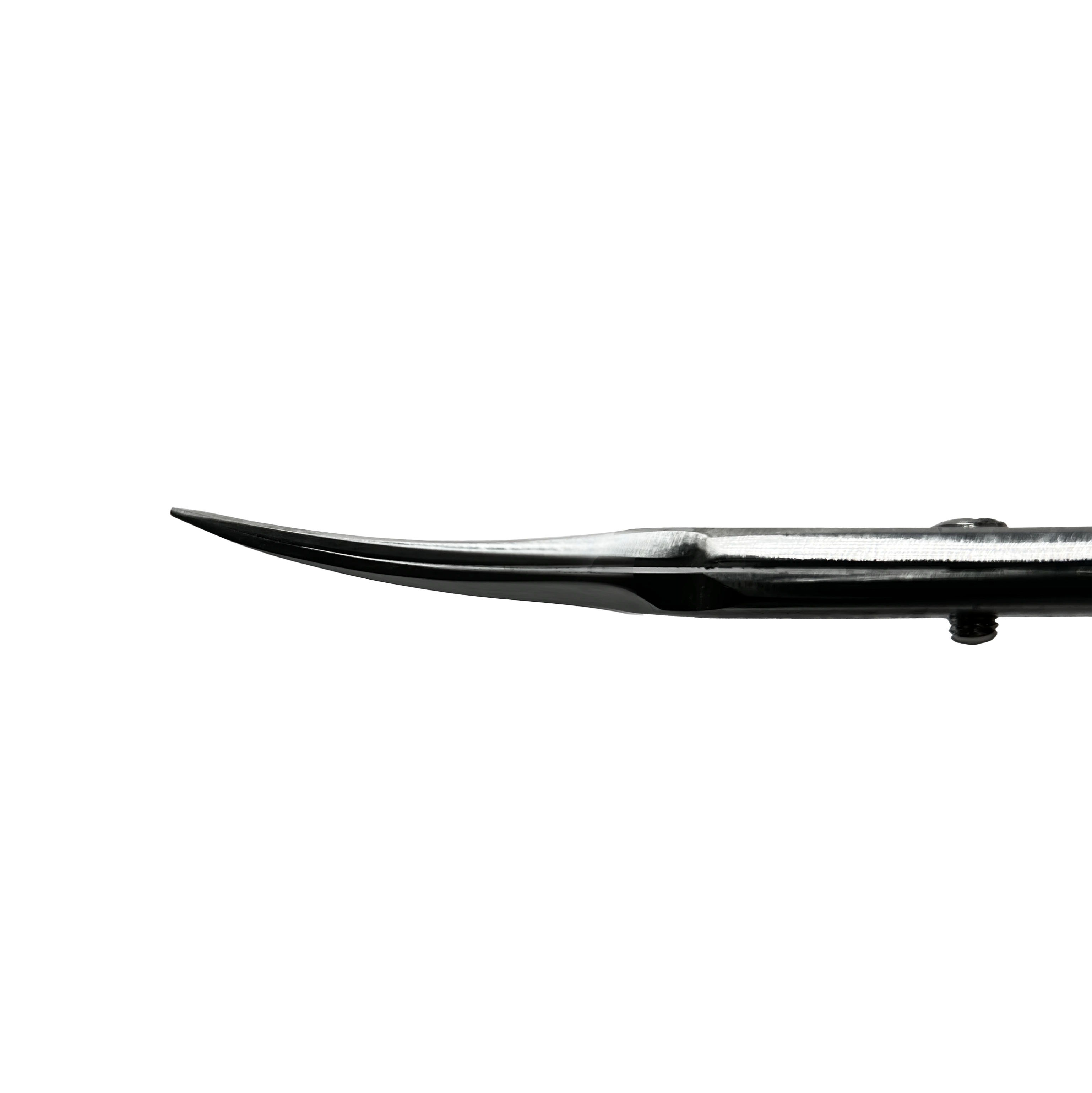 Nolia Scissors - NS05