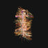 Aurora Glass Foil- Copper - Nail Art Kits & Accessories - noliashop.com 1