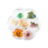 Dried Flower Nail Art - ND18-3 - Nail Art Kits & Accessories - noliashop.com 1